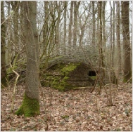 1st World War Bunker - Pillbox, Plugstreet Wood